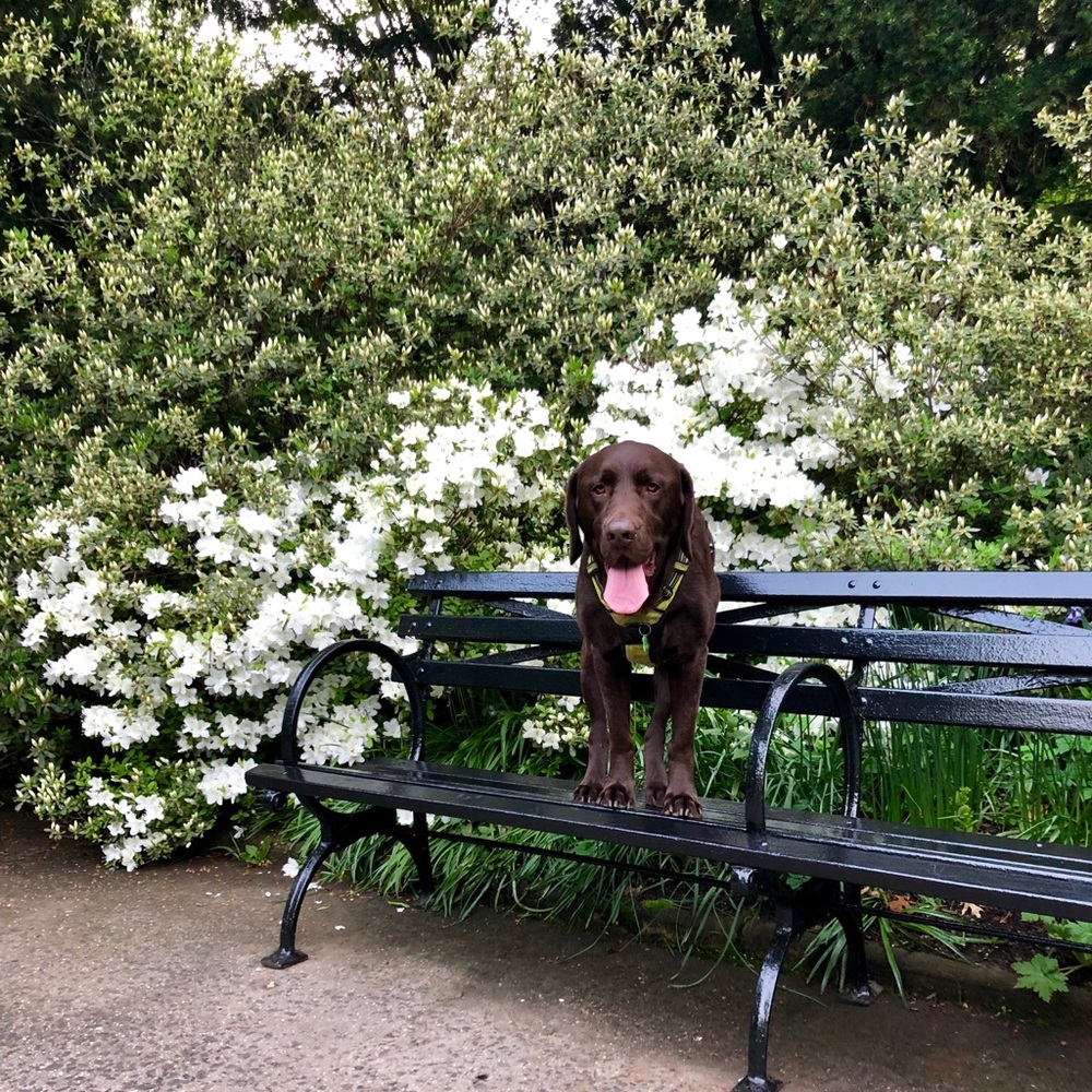 Meet your Posher, Meredith